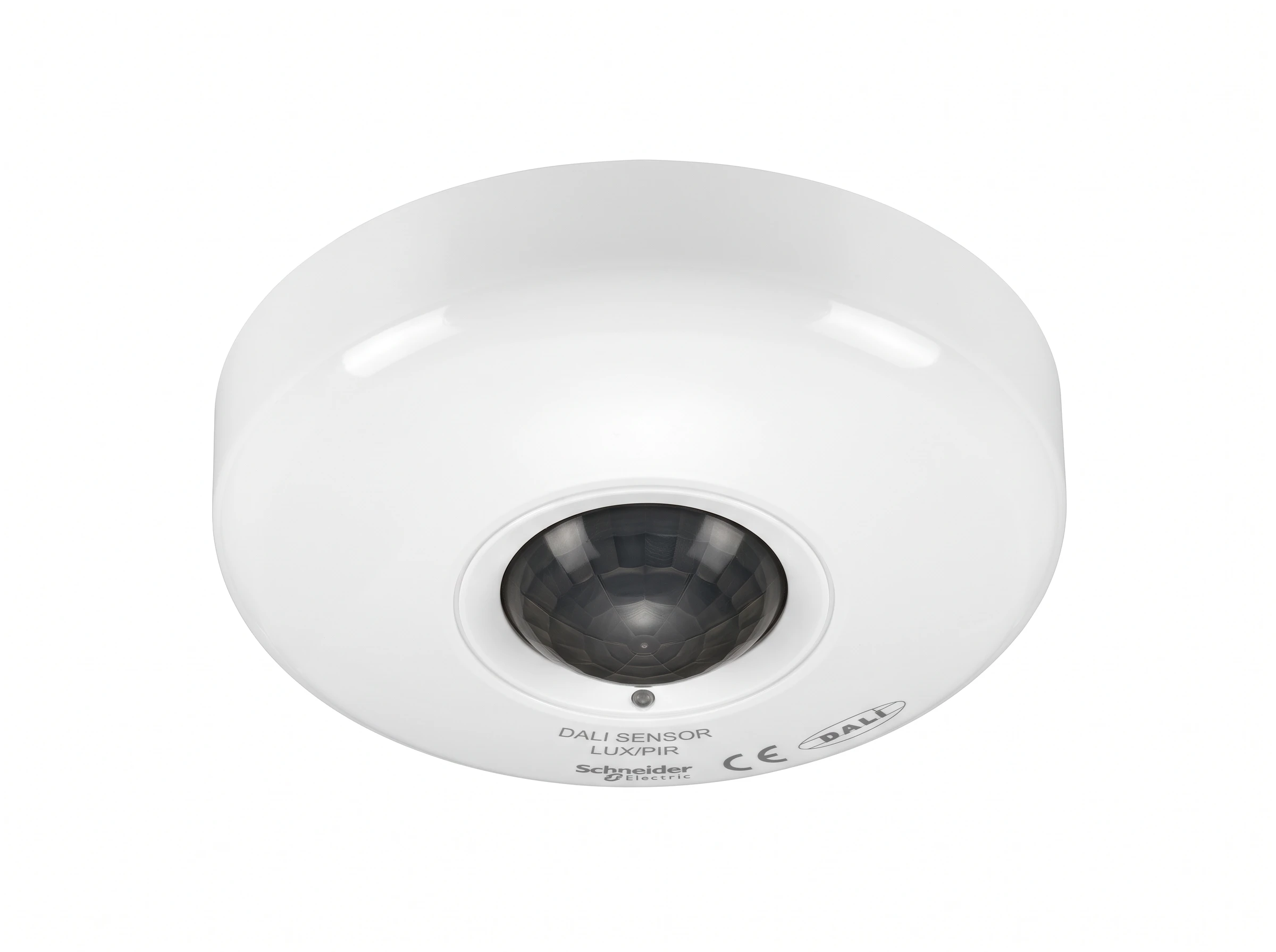 DALI Sensor & ECO BT Osram